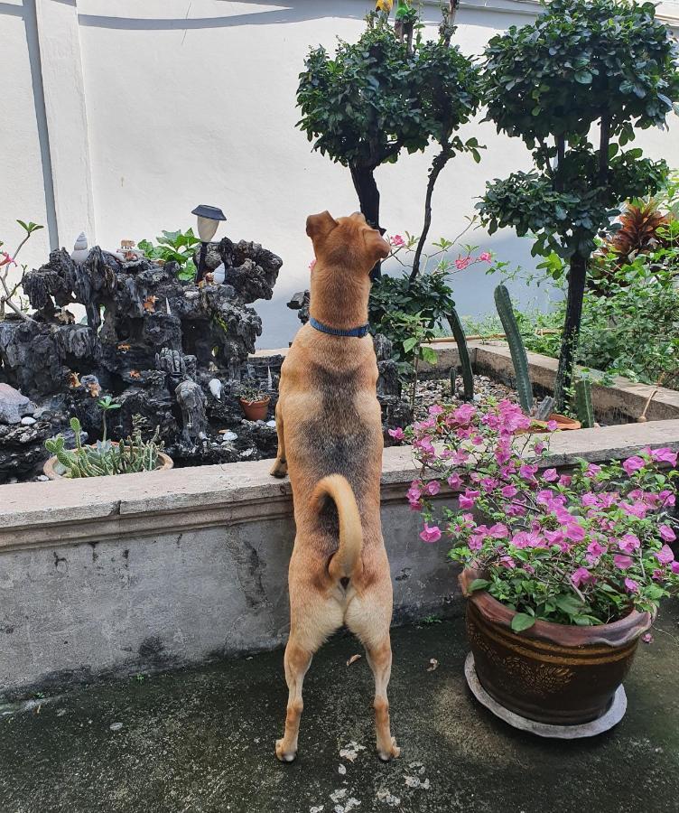 KINN Stay50 Bangkok Bagian luar foto